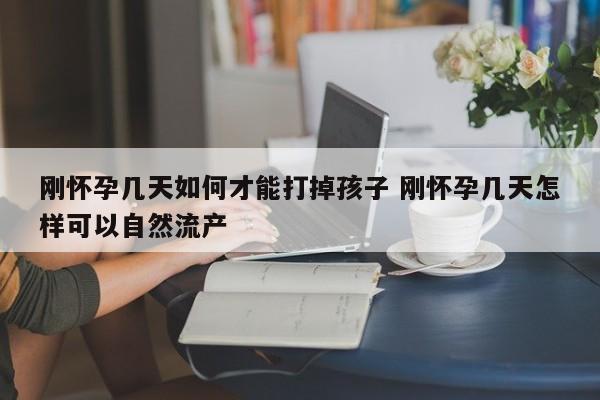 如果才怀孕几天会有什么反应 如果才怀孕几天该怎样打掉