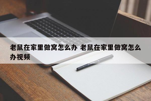 老鼠在家里怎么赶走 老鼠在家里做窝声音