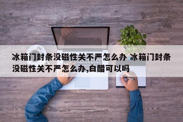 冰箱门封条没磁性 冰箱门封条关不上没吸力