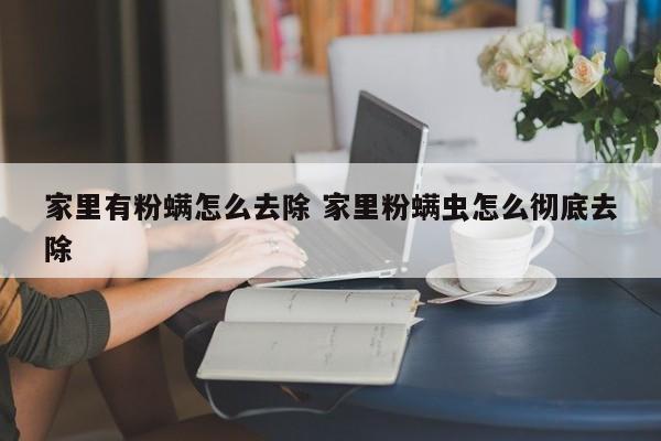 家里的粉螨怎么才能消灭干净 家里有粉螨怎么去除最有效