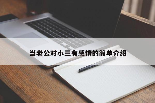 当老公对小三有感情的简单介绍