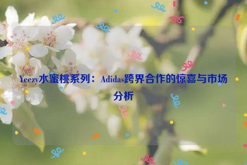 阿迪水蜜桃 adidas originals yeezy foam