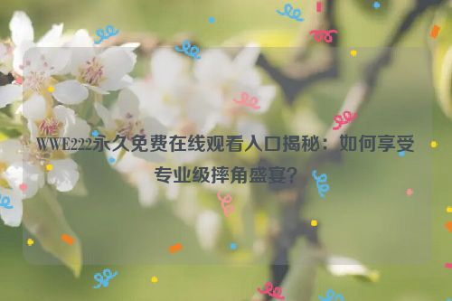 wwe22手机版怎么下 wwe22-0