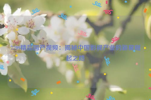 7799精品国产视频：揭秘中国影视产业的新星崛起之路