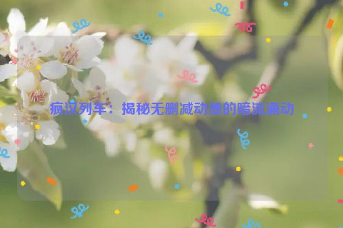 疯汉十人组日本动画片 疯汉jerry