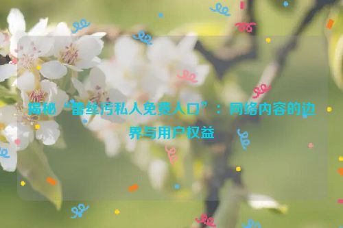 揭秘“蕾丝污私人免费入口”：网络内容的边界与用户权益