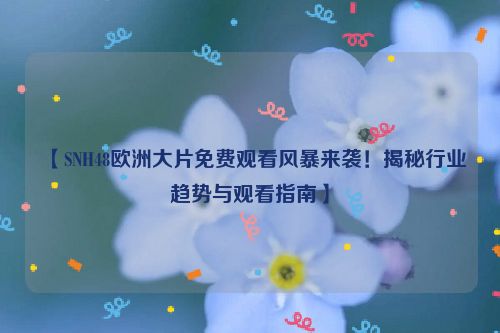 我想看欧洲大陆 你可以看欧洲
