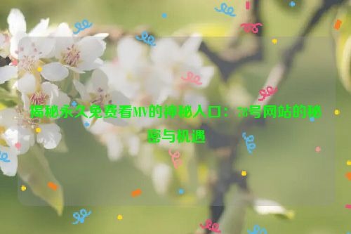 揭秘永久免费看MV的神秘入口：78号网站的秘密与机遇