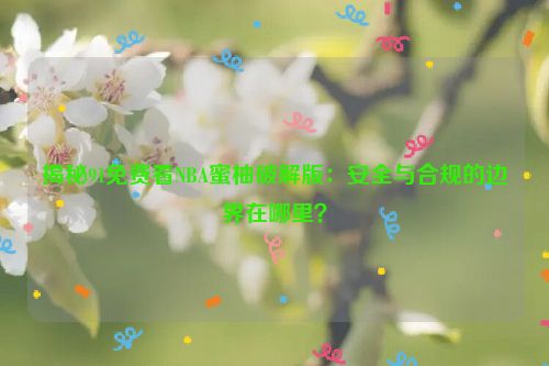 揭秘91免费看NBA蜜柚破解版：安全与合规的边界在哪里？