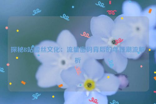 探秘B站蕾丝文化：流量密码背后的年轻潮流解析