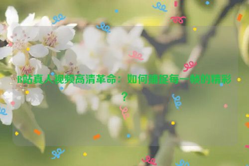 B站真人视频高清革命：如何捕捉每一帧的精彩？