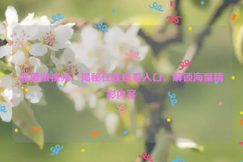 菠萝蜜视频：揭秘在线观看入口，解锁海量精彩内容