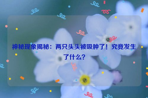 神秘现象揭秘：两只头头被吸肿了！究竟发生了什么？ 头被吸盘吸红了怎么办