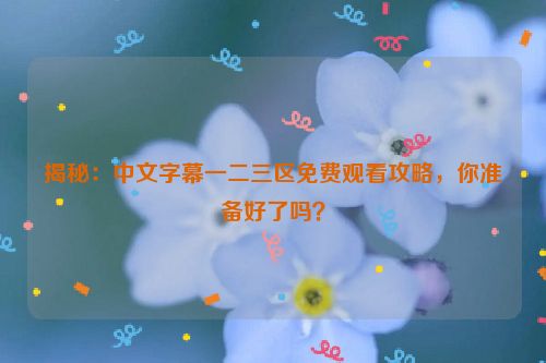 揭秘：中文字幕一二三区免费观看攻略，你准备好了吗？