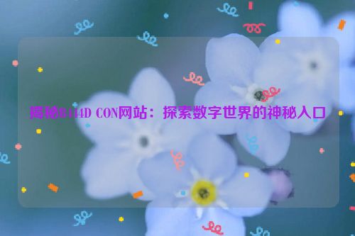 揭秘B444D CON网站：探索数字世界的神秘入口