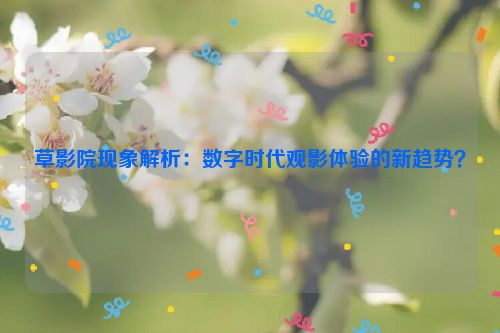 草影院现象解析：数字时代观影体验的新趋势？