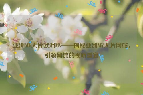 亚洲mv和欧美mv的网址 亚洲mv和欧洲mv的区别是什么