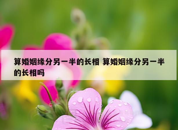 算婚姻缘分另一半的长相 算婚姻缘分另一半的长相吗